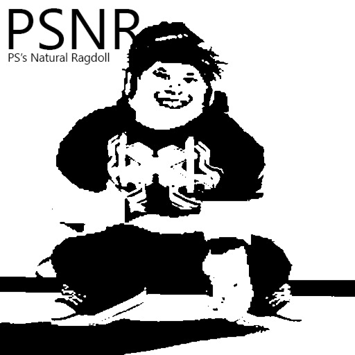 PS's Natural Ragdoll