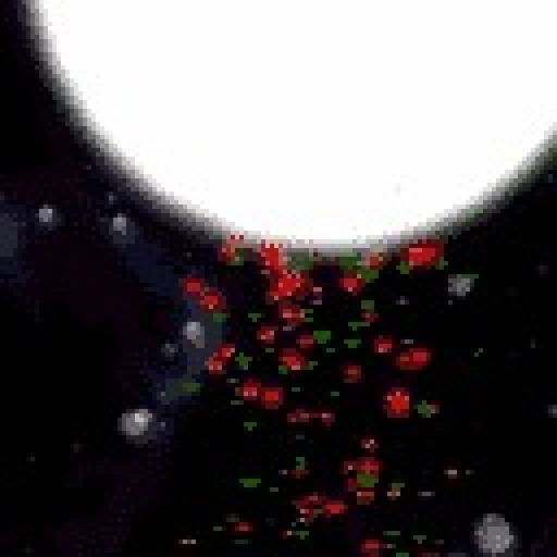 Space of AI made platforms