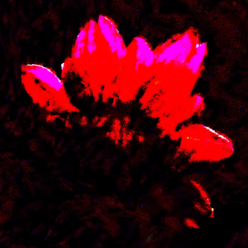 The Whistle Occurrence