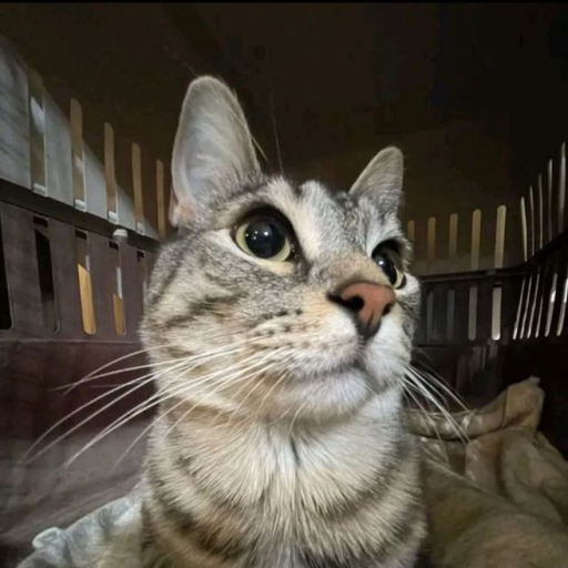 Ink Game Scripts And Cutscenes Test