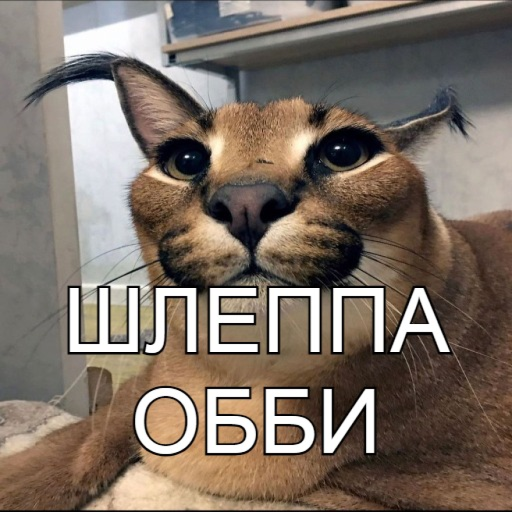 ШЛЕППА ОББИ [НОВЫЙ]