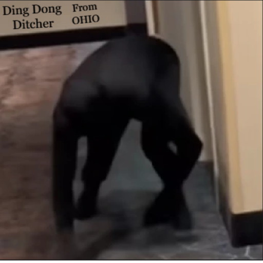 The Ding Dong Ditcher From Ohio Experience