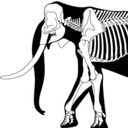 The Prehistoric Museum