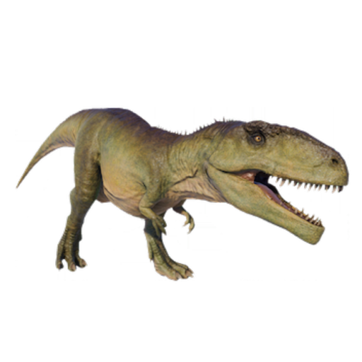 What happens when you put two mirrors side by side