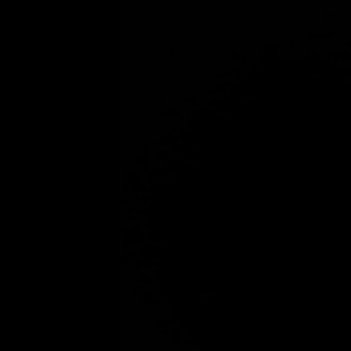 🏆 | Roblox Cup | Center