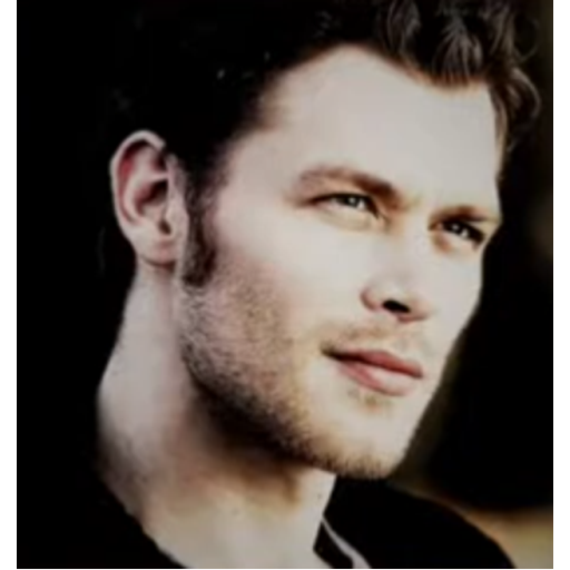 Survive Gorilla in a Bunker