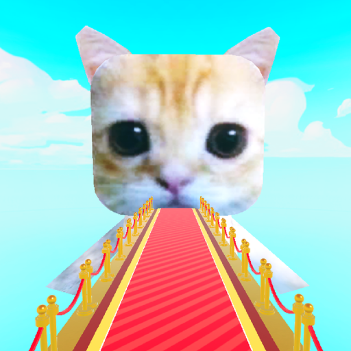 Climb Into El Gato!  😺