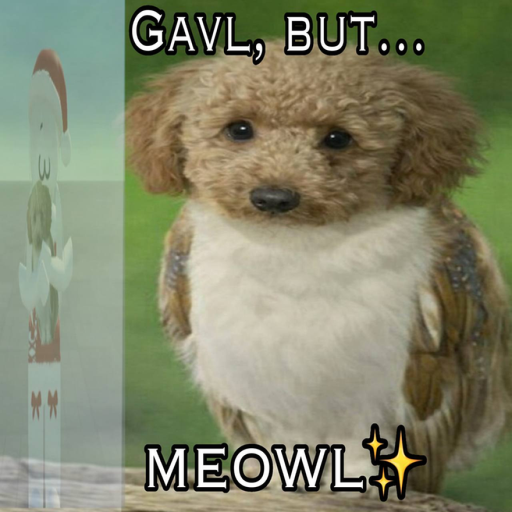 Meowl but Gawl