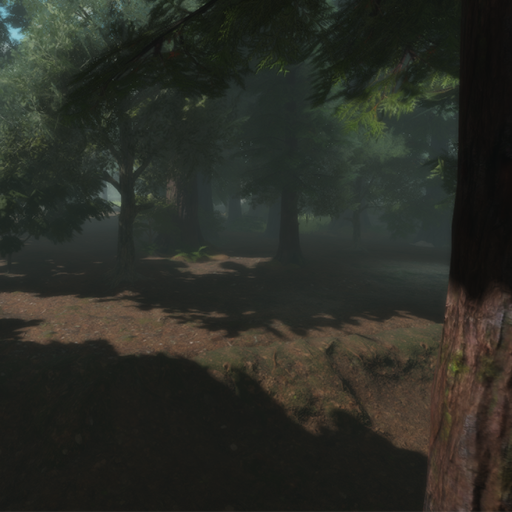 Realistic Forest