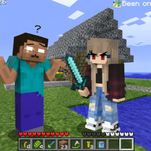 Minecraft: Java Edition +