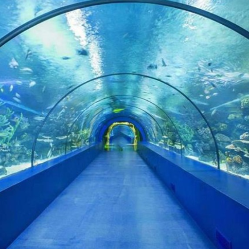 The Deep Aquarium (1.4 UPD İNDEX🐬!)