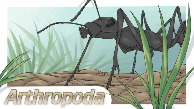 [PAID BETA] Arthropoda screenshot