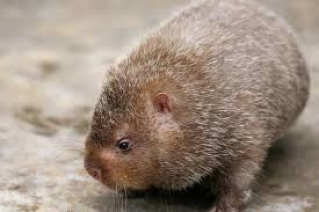 the obby of time 1 screenshot