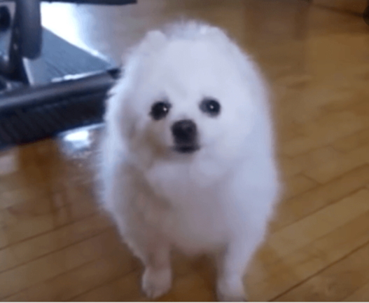 Play with the INFINITY GAUNTLET AND NUKES!! screenshot