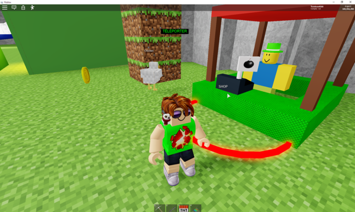 Détruis le noob! [SHOP!] screenshot