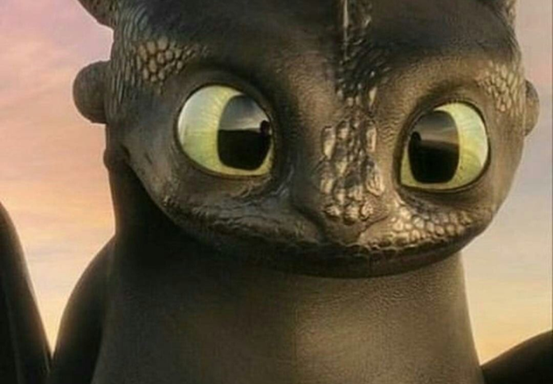 how to train your DRAGON game! screenshot