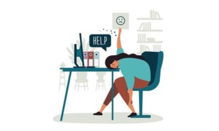 Car Dealer and Custom Demo screenshot