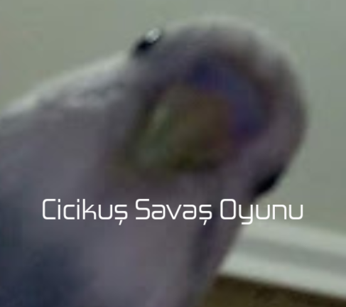 Fight as a budgie screenshot