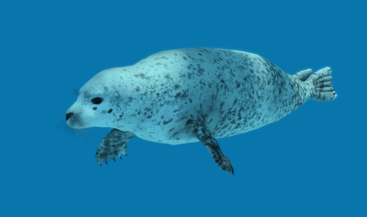 Oceanic TESTING 2 screenshot