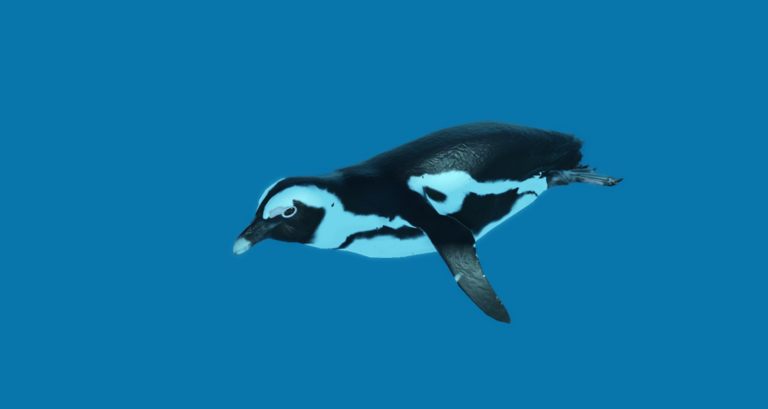 Oceanic TESTING 2 screenshot