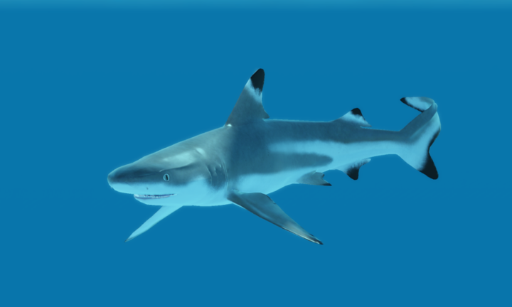 Oceanic TESTING 2 screenshot