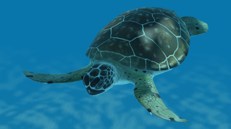 Oceanic TESTING 2 screenshot