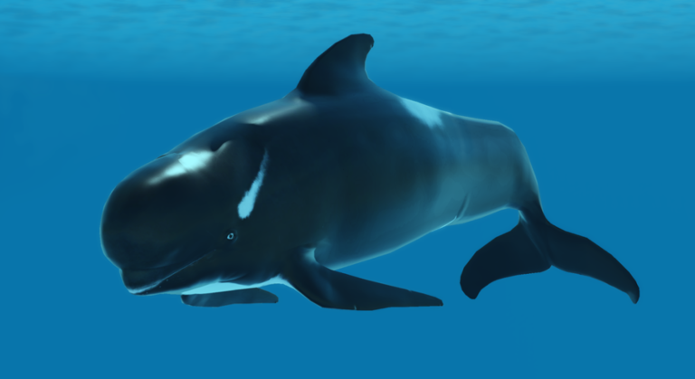 Oceanic TESTING 2 screenshot