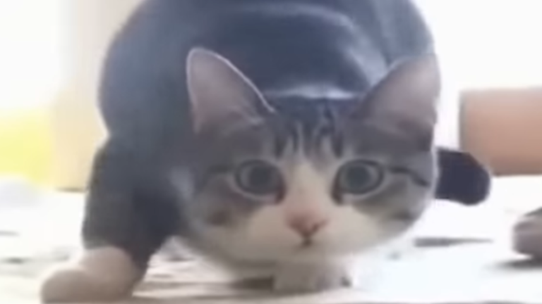 Tower of Wiggly Influence screenshot