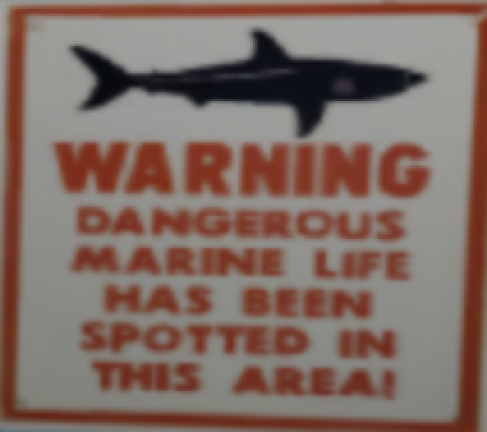 SHARK DIE DIE DIE *update* screenshot