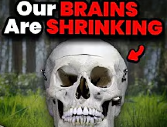 shrek sad story school bully cry screenshot