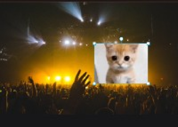 turi ip ip screenshot