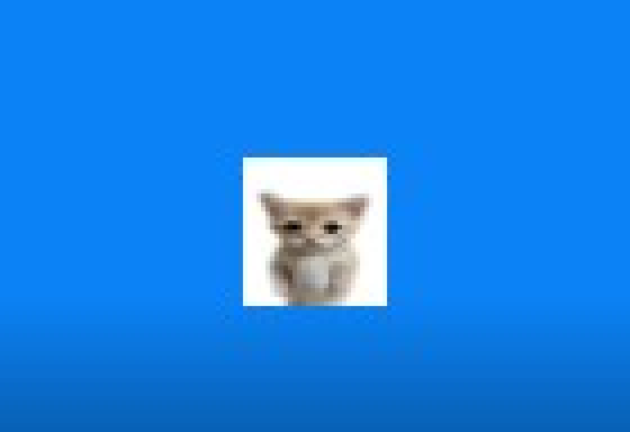 turi ip ip screenshot