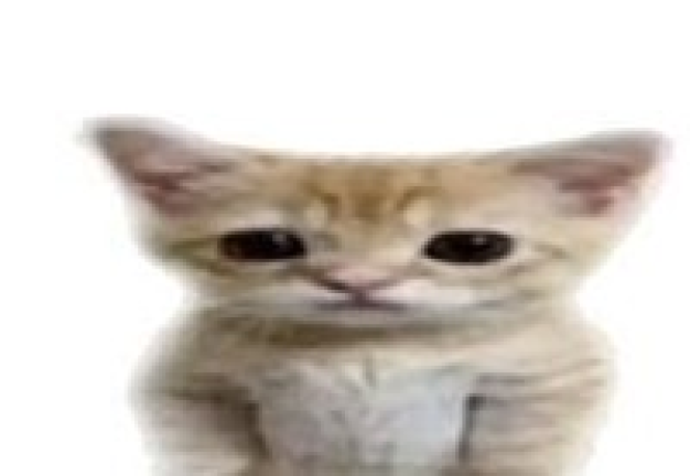 turi ip ip screenshot