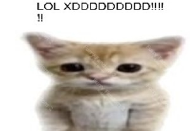 turi ip ip screenshot