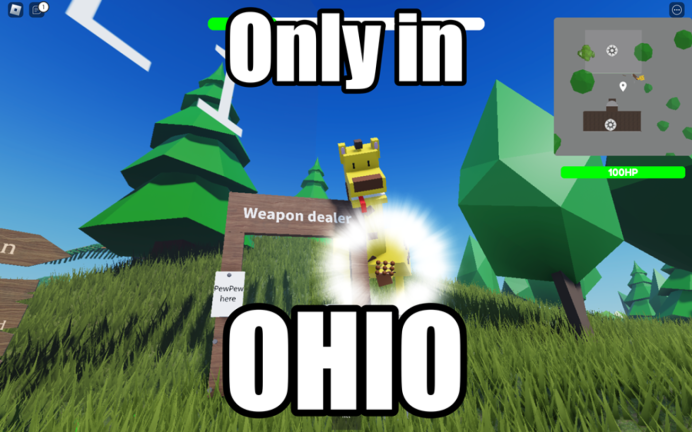 🛸Go to the Zoo in OHIO🗿 screenshot