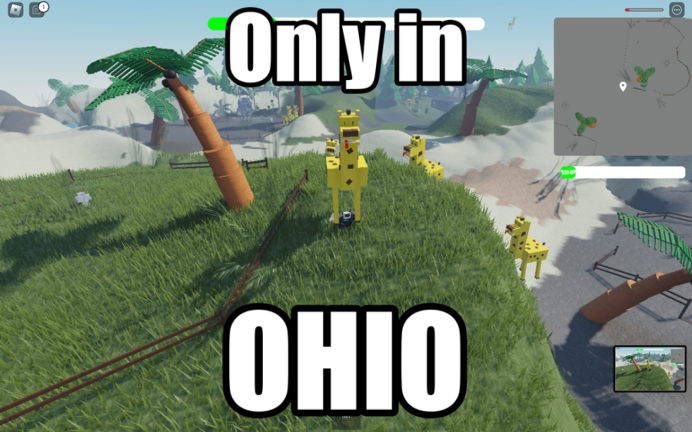 🛸Go to the Zoo in OHIO🗿 screenshot