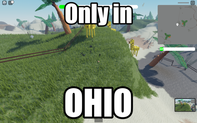 🛸Go to the Zoo in OHIO🗿 screenshot