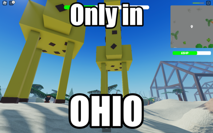 🛸Go to the Zoo in OHIO🗿 screenshot