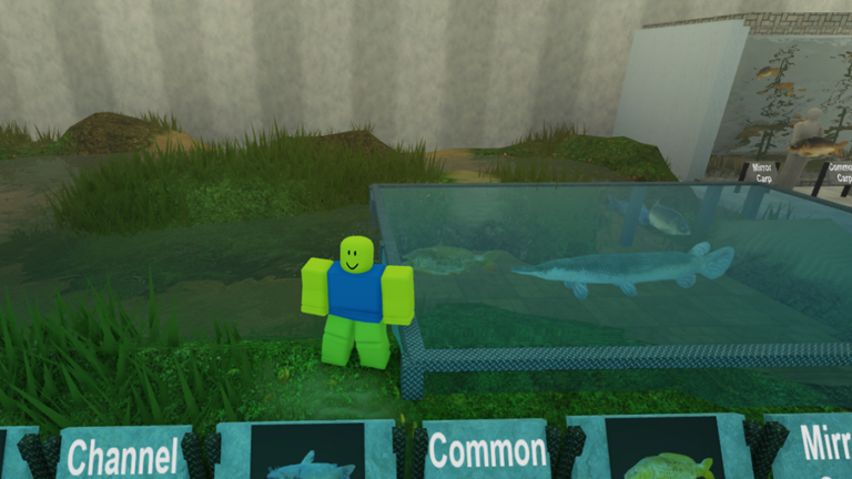 Animal World Museum of Natural History screenshot