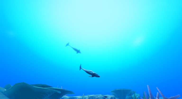 The Vaquita Conservatory - Educational aquarium screenshot