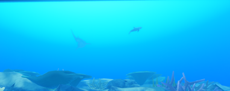 The Vaquita Conservatory - Educational aquarium screenshot