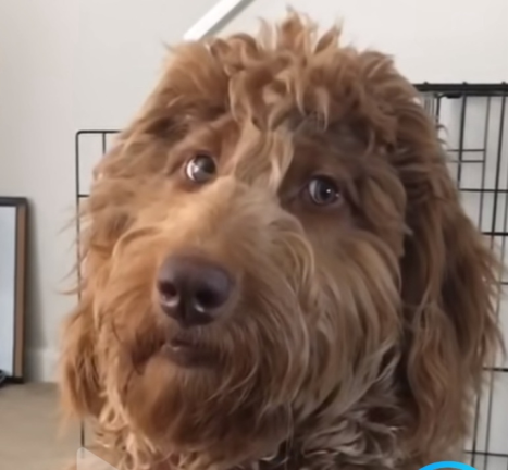 anime but battle royale 🤤 screenshot