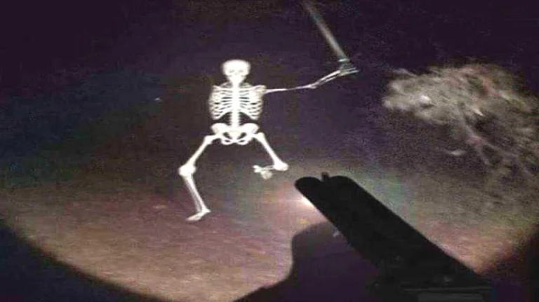 Blox Fruits Blox Fruits Blox Fruits Blox Fruits screenshot