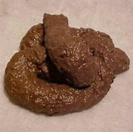 kaka and piss pizza game screenshot