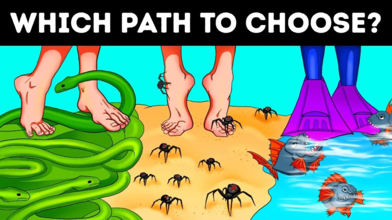 2 Player IQ Test screenshot