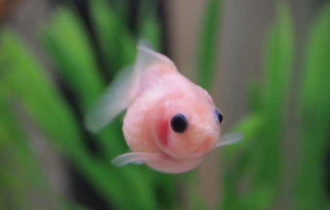 UnderWater screenshot