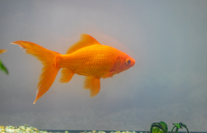 UnderWater screenshot