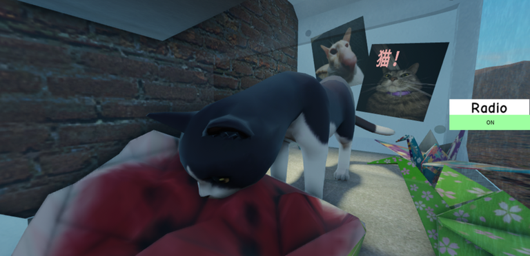 Meow Camera screenshot