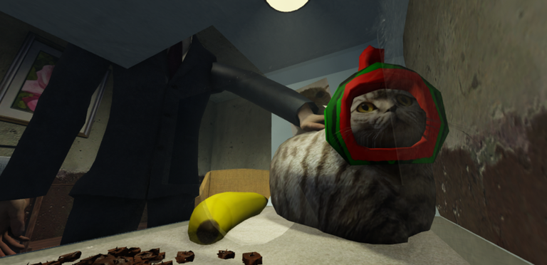 Meow Camera screenshot