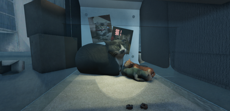 Meow Camera screenshot